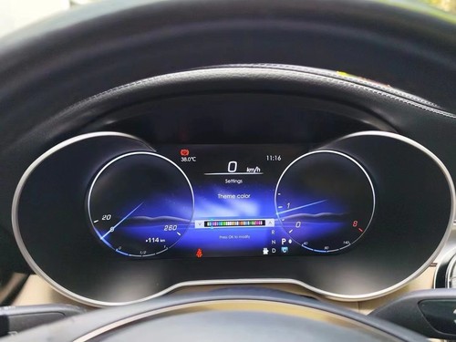 Lcd digital instrument - 12.3",