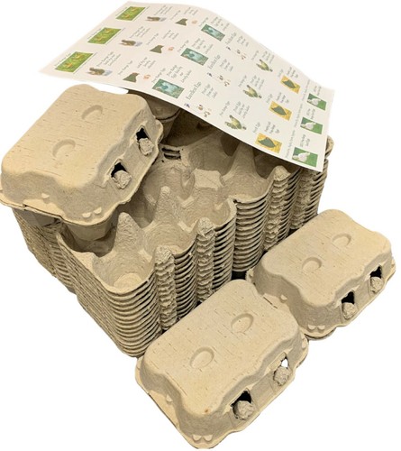 584 egg boxes fresh - -,