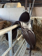 Winner Circle Dressage Saddle