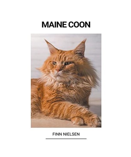 Maine coon nielsen finn - maine, coon,