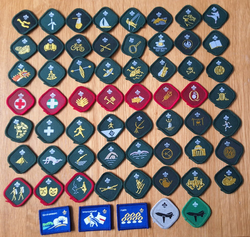 Boy scout proficiency - boy,