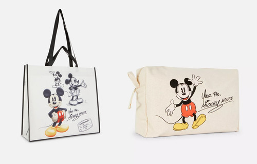 Disney mickey mouse canvas - disney,