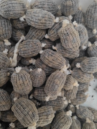 Prefilled mini pva mesh - mini,