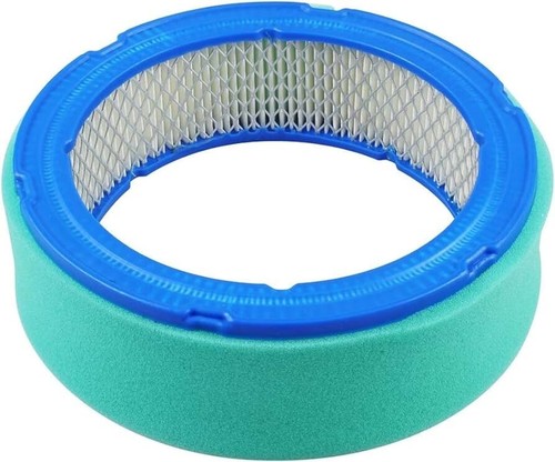 Air filter fits briggs - filter,