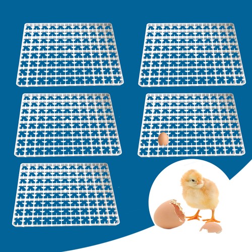 5pcs for egg - 5pcs, hatching