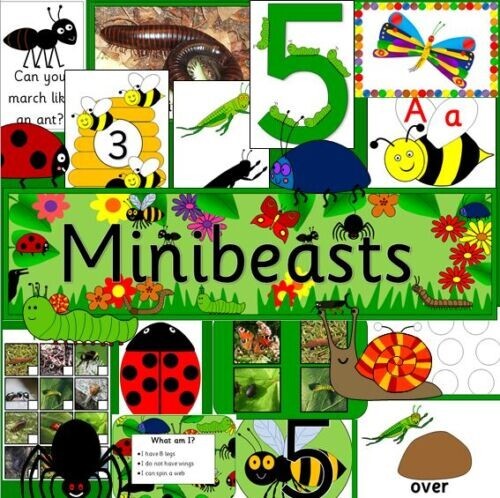 Mini beasts topic activity - beasts,