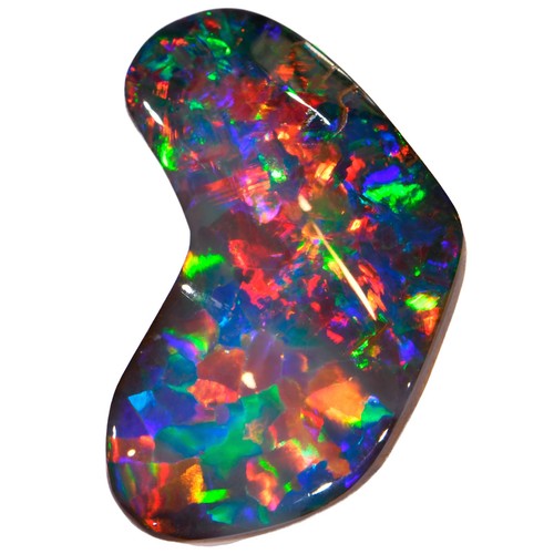 Absolute gem rare harlequin - rare,