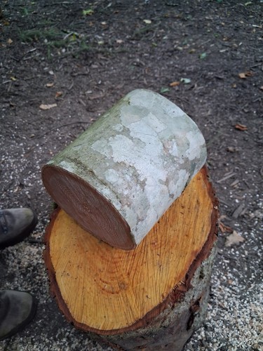 Ash wood round turning - ash, round,