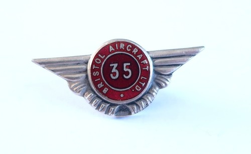 Vintage silver enamel badge