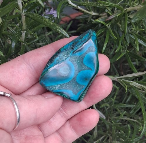 Malacolla stunning 33g - stunning,