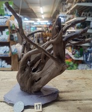 Small Dark Moor Wood Root on