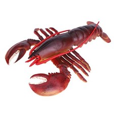 Simulation Soft Plastic