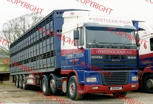 Truck lorry photo campbell - photo,