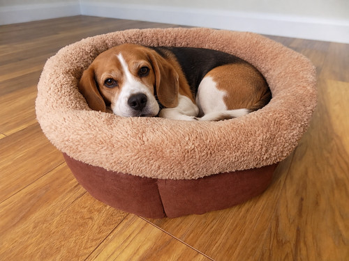 Supersoft round high - supersoft,, sided