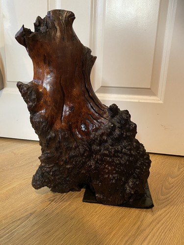 Old lacquered tree root - old,