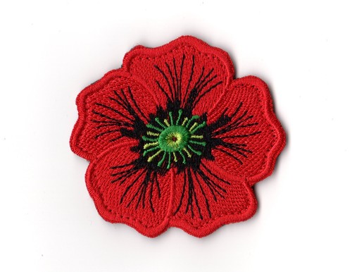 Red poppy flower - poppy,