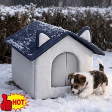 Winter warm insulated cat - winter,