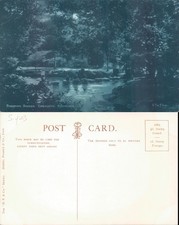 Stepping Stones Endcliffe Sheffield Yorkshire England DF Co York Landscape River