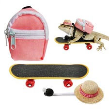 3 Pieces Bearded Dragon