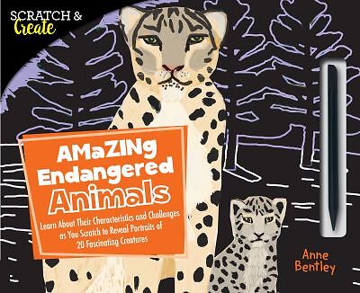Scratch create amazing - scratch, create: