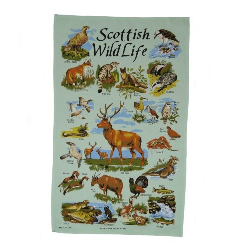Scottish traditional - scottish,