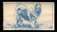 Tobacco Card, Carreras, Turf, FAMOUS DOG BREEDS, 1952, Keeshond, #12