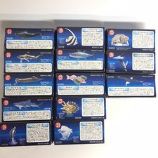 Kaiyodo Aquatales Kuroshio