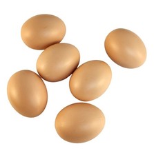 Set Of 6 Plastic Chicken Eggs