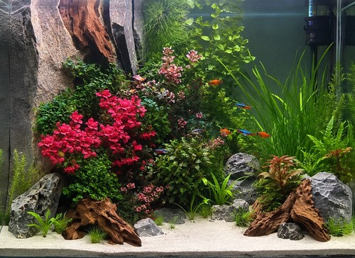 Fish tank background sticker - fish,