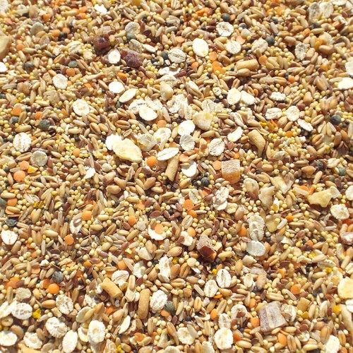 Tidymix budgie food high - food,