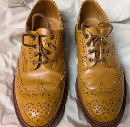 Trickers bourton country shoe - trickers,