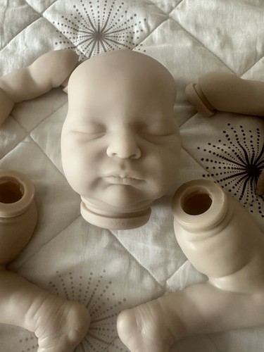 Reborn kit inches with body - reborn,