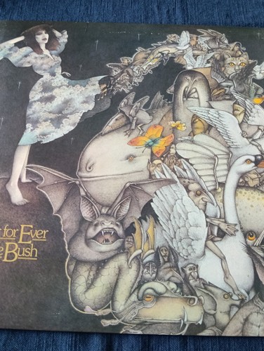 Kate bush never forever - kate,