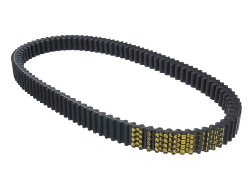 Drive belt malossi - belt, x