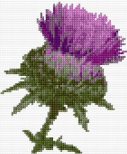 Purple Thistle Flower -