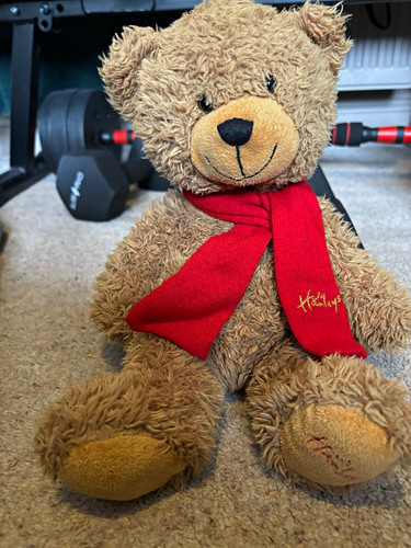 Hamleys brown plush teddy bear - brown,