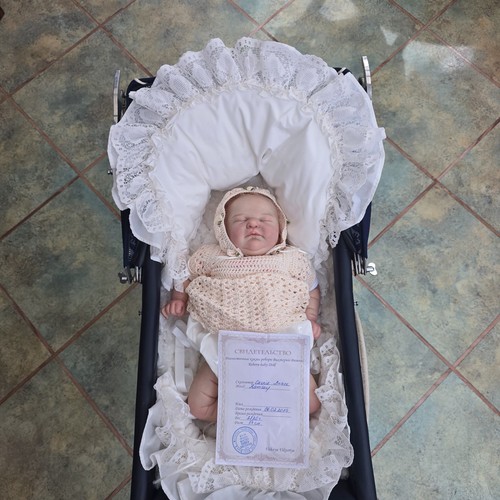 High end baby reborn - end,