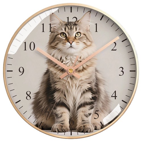 Cute maine coon cat wall - wall, clock