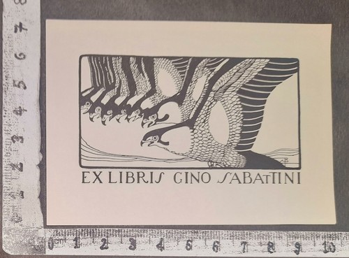 Wunderkammer exlibris 767 - wunderkammer, an