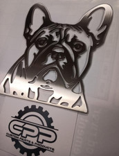 FRENCH FRENCHIE BULL DOG