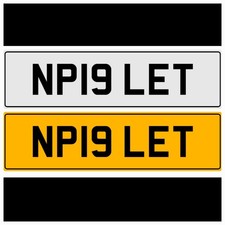 PIGLET NP19 LET PIG FARM