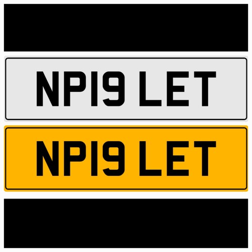 Piglet np19 let pig - np19,