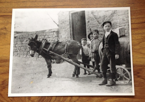 Print vintage early 1900s - print, of