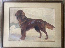 Original Painting Irish Setter / Red Setter Mixed Media, Circa 1950’s - 60’s.