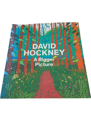 David hockney bigger picture - hockney,