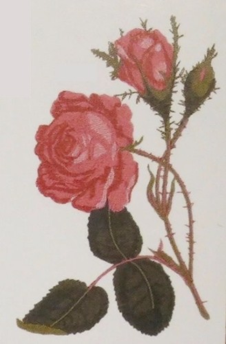 Machine embroidery designs usb - embroidery,