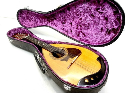 Suzuki mandolin 210 japan - ,