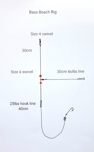 Sea fishing beach bass - 4x,