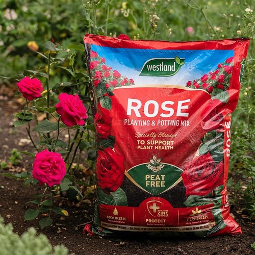Westland rose compost 46l - westland,
