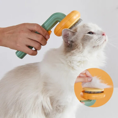 Pet grooming brush self - brush,